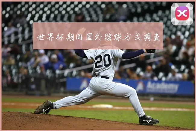 世界杯期间国外赌球方式调查