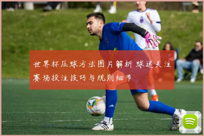世界杯压球方法图片解析 球迷关注赛场投注技巧与规则细节